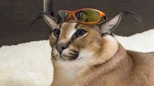 Forever Young Boy - Про Шлёпу