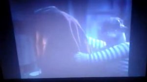 Боцман и попугай