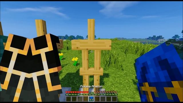 Minecraft Elytra Customisation (Optifine Mod)