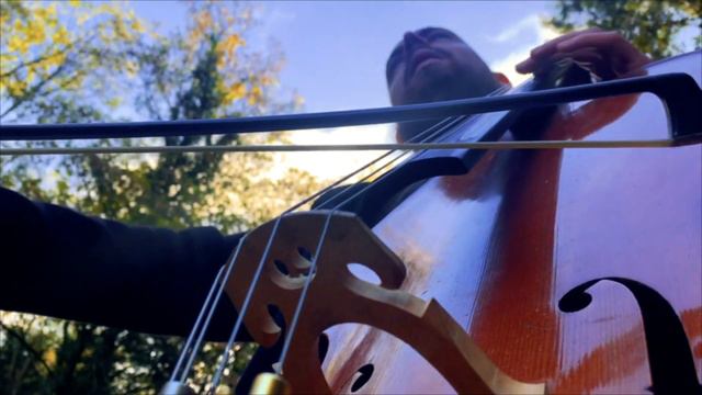 Mumford & Sons - I will wait - Cello cover by Mathyas Vj смотреть онлайн