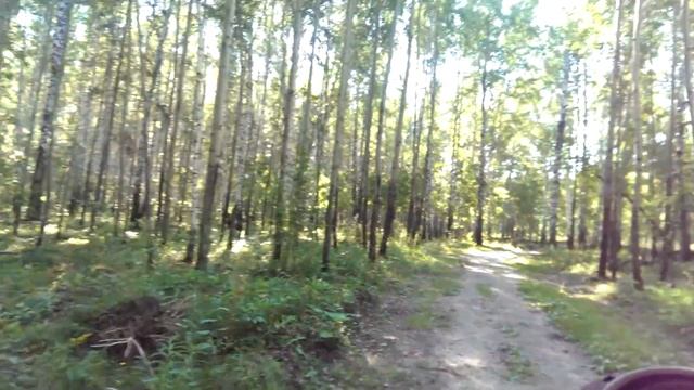 Из города в деревню! | Утренний ВЛОГ | Прогулка в лесу смотреть онлайн