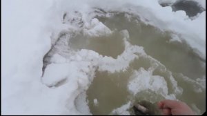 Как поймать Крупную Щуку на жерлицы зимой. Река Волга. Монстр.