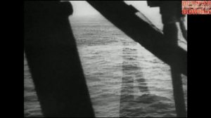 Серые волки. Немецкие подводные лодки 1939-1941