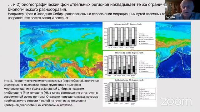 Бородин А.В. «Остатки позвоночных из аллювиальных отложений севера Западной Сибири смотреть онлайн