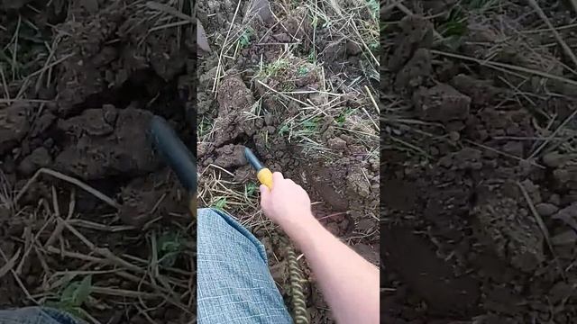 Медная монета с поля. Царская медь. #металлоискатель #коп2023 #поискмонет смотреть онлайн