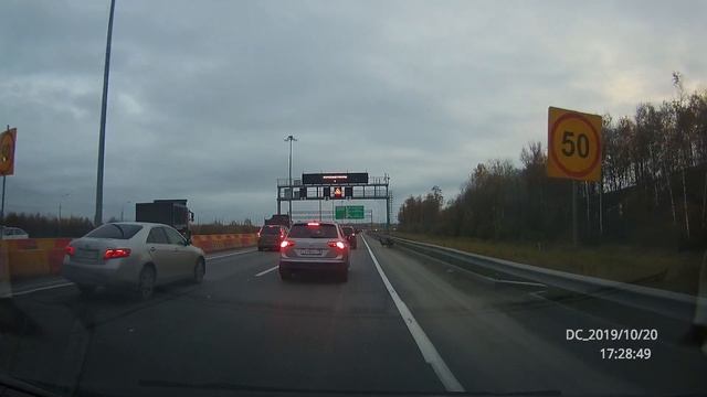 Бараны сбежали на КАД перед ЗСД