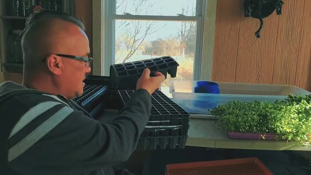Bootstrap Farmer trays versus the box store brand. смотреть онлайн