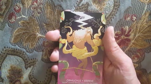 Cosmos Tarot and Oracle set by Light Grey Art Lab смотреть онлайн