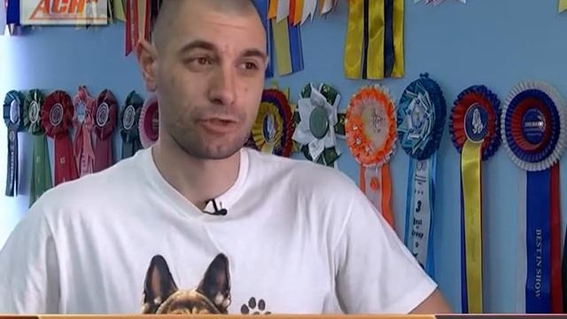 осторожно: злая собака смотреть онлайн