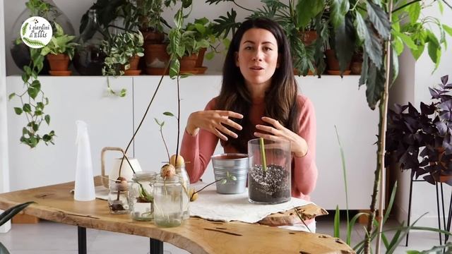Come crescere una pianta di avocado - TRUCCHI PER VELOCIZZARE! смотреть онлайн