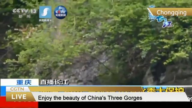 Live: Explore the beauty of China's Three Gorges游重庆，看三峡，赏生态绿色发展之美 смотреть онлайн