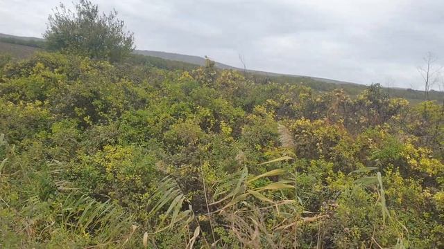 НЕТ В ПРОДАЖЕ. Натухаевская. 10 сот. 1300т.р.