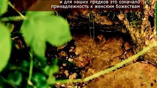 Жаровка смотреть онлайн
