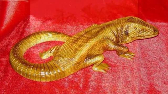 Тайна огненной саламандры Кремниевая ящерица Сердоликовая огненная саламандра смотреть онлайн