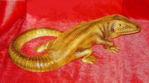 Тайна огненной саламандры Кремниевая ящерица Сердоликовая огненная саламандра