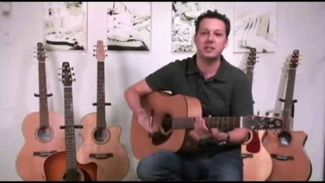 Seagull Guitars Overview