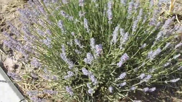 Аксессуары и Мода