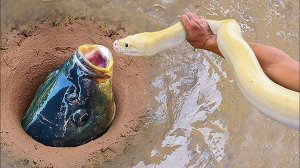 Никто Бы Не поверил Если Бы Не Это Видео . Змея Удочка.