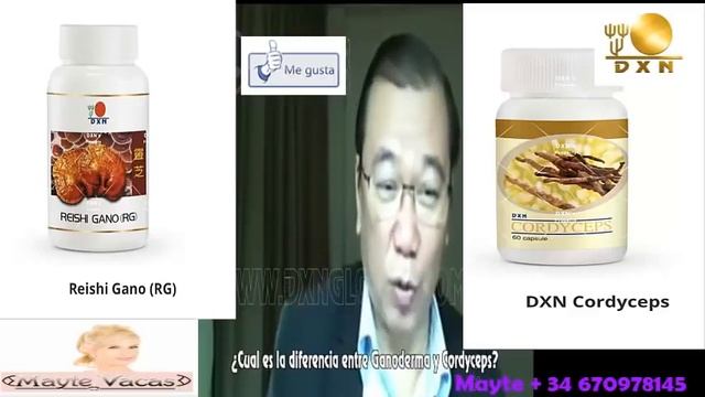 Por Qué CONSUMIR El GANODERMA Y? CORDYCEPS DXN 2023 | Dr. Lim Siow Jin