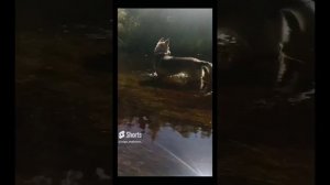 Река и Аза ❤