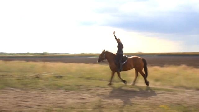 Видео для группы в ВК данной специализации смотреть онлайн
