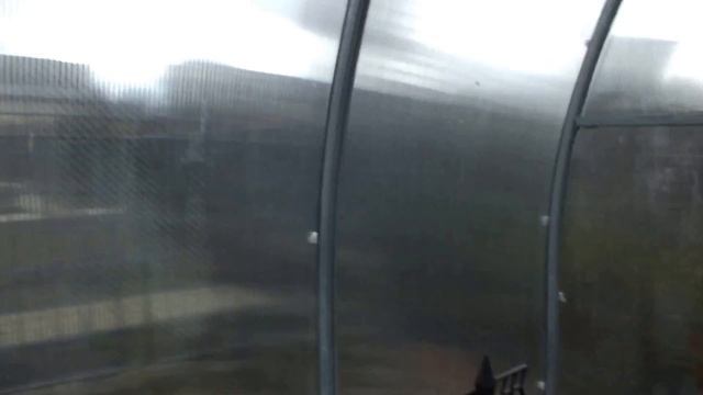 Дача в Германии , Помидоры, Огурцы, Арбузы, Дыни. Весна 2016 смотреть онлайн