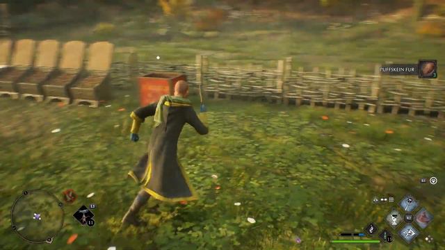 Crucio Catch | Hogwarts Legacy (PS5) Hufflepuff Playthrough | Part 5 смотреть онлайн