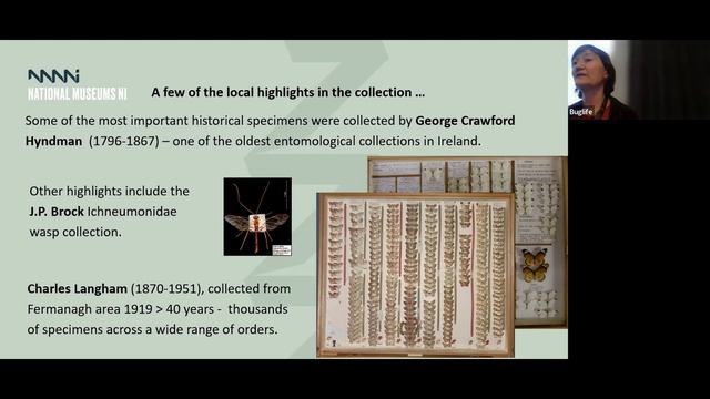 Irish Entomology Meeting 2023 ~ Introduction & Keynote-Session 1, Part 1, with Dr Helen Barber-Jame смотреть онлайн
