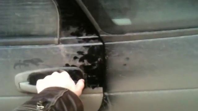 IMG_0298.MOV смотреть онлайн