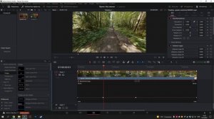 как плавно УСКОРИТЬ или ЗАМЕДЛИТЬ видео в Davinci Resolve