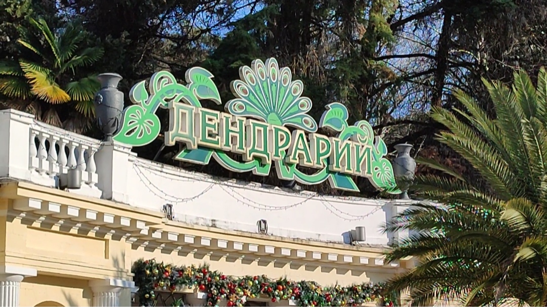 ДЕНДРАРИЙ парк в СОЧИ Декабрь 24.12.2022 год
Обзорное видео. смотреть онлайн