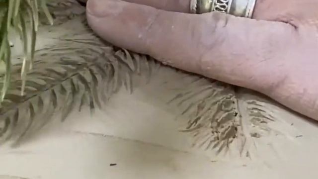 Анна Сно. Керамика. Зимние травы смотреть онлайн