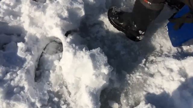 Ловля судака на Оби смотреть онлайн