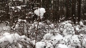 После отдыха с подругой жена привезла кое-что неожиданное. Интересные истории измен, аудио рассказ