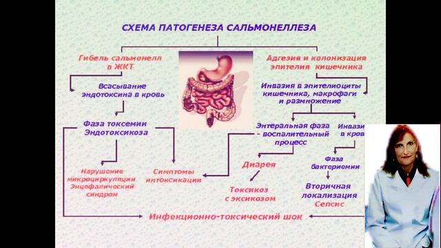 Сальмонеллёз.Сальмонеллёз-лекция по микробиологии