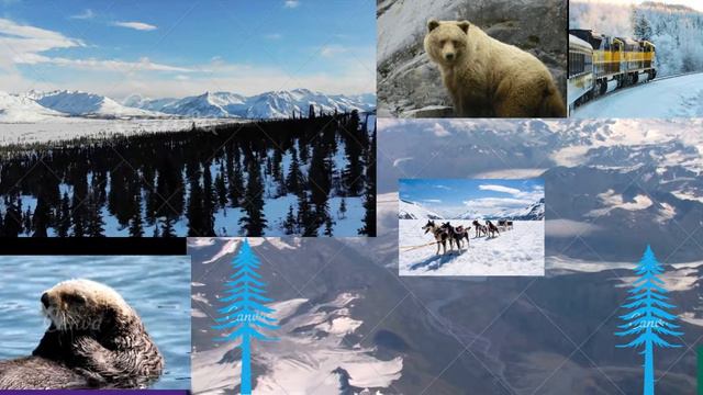 The Alaskan Climate  #EnglishStream