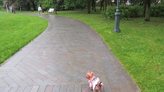 Ура, Открыли! Москва Сиреневый Сад цветет и пахнет смотреть онлайн