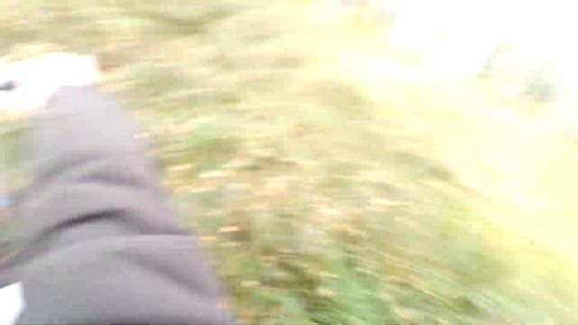 Самодельные квадроцикл с двигателем от Оки   болотные приключения - квадроцикл своими руками