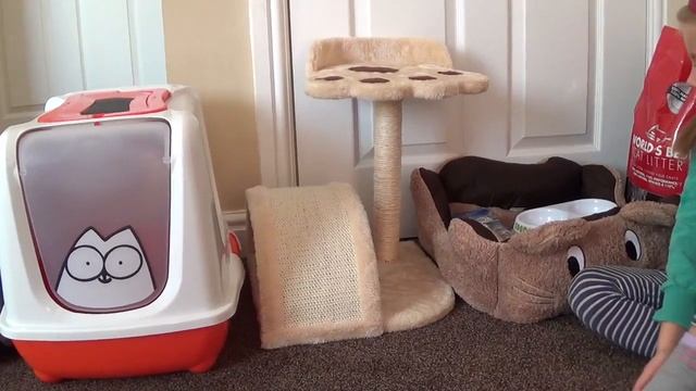 ПОКУПАЕМ ПИТОМЦА ? Что нужно котёнку? Готовимся к покупке котёнка!!! смотреть онлайн