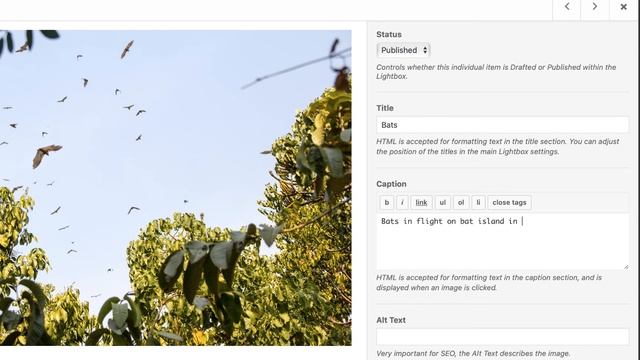 How to Create a Gallery in WordPress смотреть онлайн