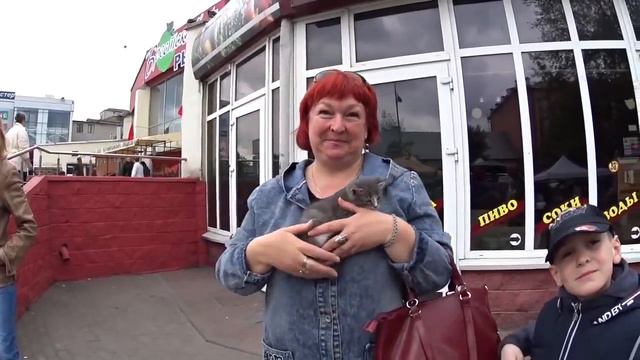 Мы на рынке. Встреча с Татьяной и Раисой. VLOG. Брест смотреть онлайн
