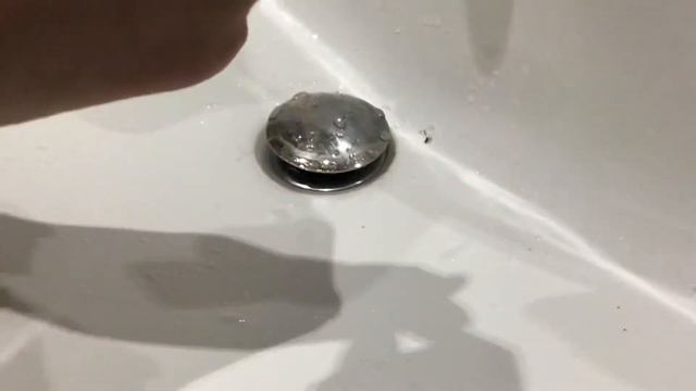 Улитка в спячке 😭😱 что делать