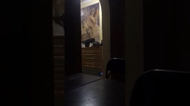 Деректриса Астраханской области АБМК учит как правильно студентов мед-колиджа обращаться к людям. смотреть онлайн