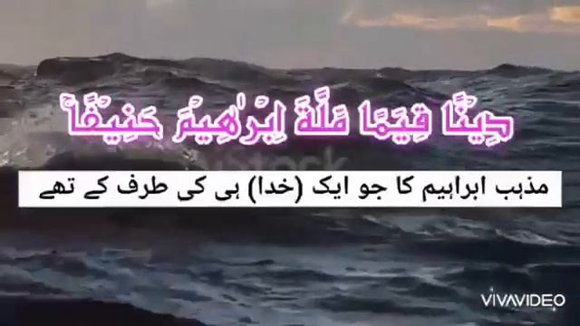 The Holy Quran | Surah Al An'aam | Verses 158-165 | By Hafiz Shoaib Solanki|تلاوة جميلة смотреть онлайн