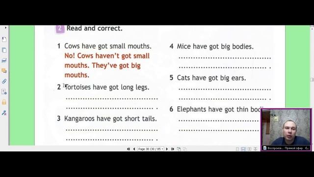 Английский язык рабочая тетрадь 3 класс стр. 38 Spotlight 3 Workbook смотреть онлайн