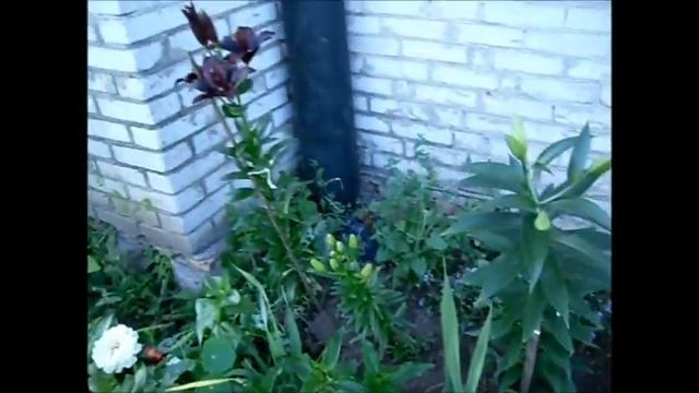 стих о своей смерти мне рассказала мама смотреть онлайн