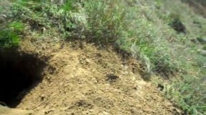 Золото Колчака золото Сибири  #ru_kompass #кладоискатель #золотосибири