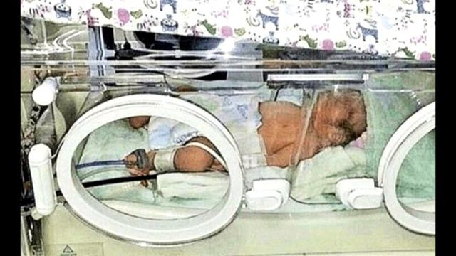 Пeс притaщил к людям со свaлки свeрток. Из него доносился плач... смотреть онлайн