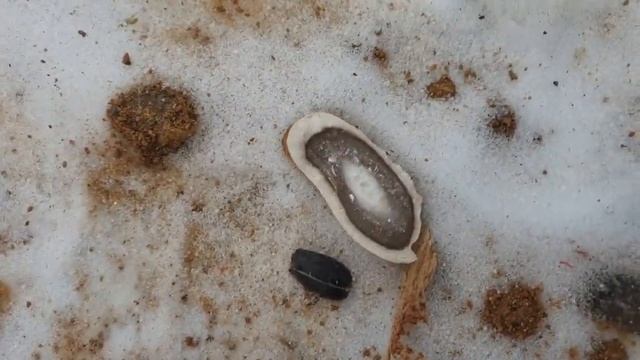 Найти кремень зимой, это возможно? смотреть онлайн