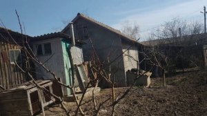 Схема обработки персика,Мой опыт.